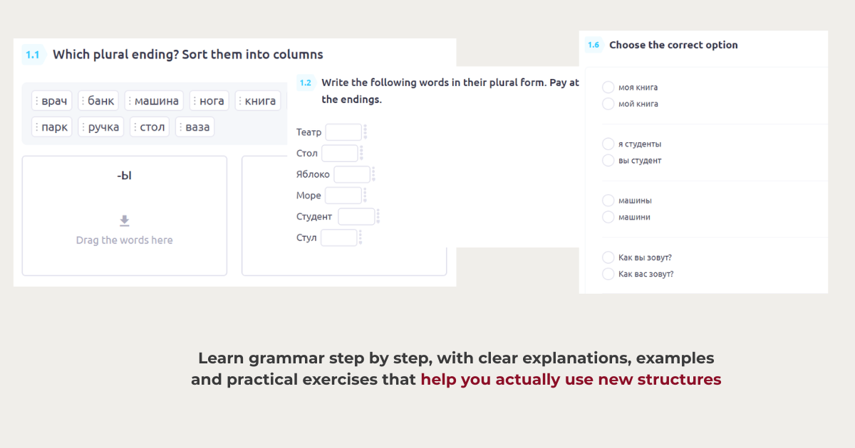 Grammar practice: sort plural endings, write plural forms and choose the correct option